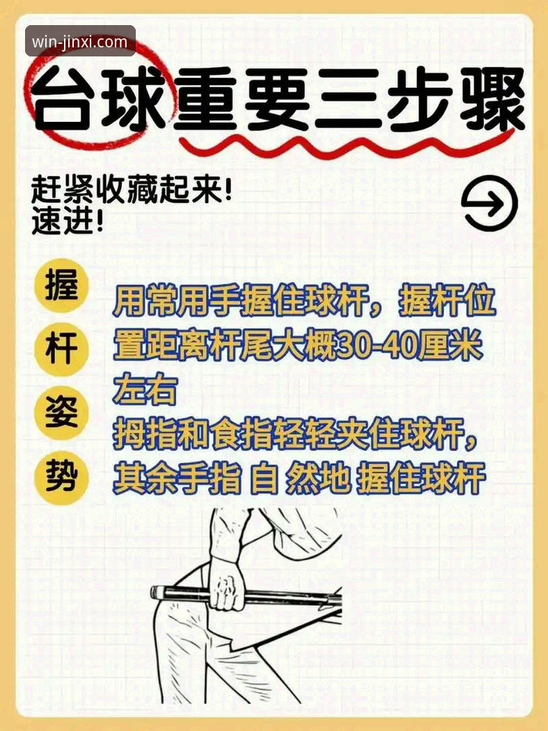 金喜体育平台使用技巧深度分析：从入门到精通的全面指南